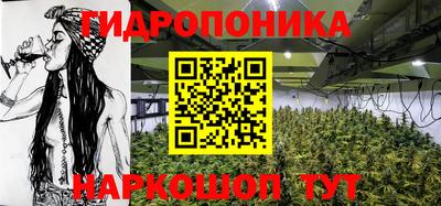 тгк Обь