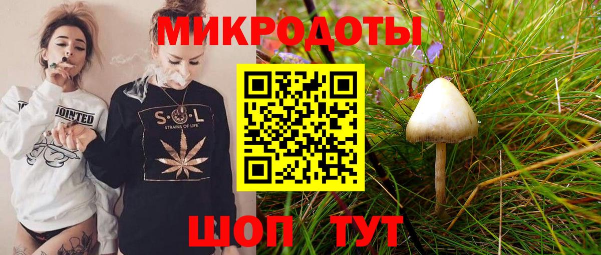 Соль-Илецк  Галлюциногенные грибы Magic Shrooms  Псилоцибиновые грибы Psilocybe  продажа наркотиков  Вход с VPN 